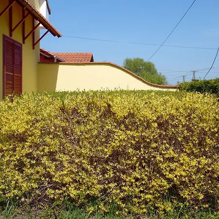Guest house Aranyeso Vendeghaz Domaszek